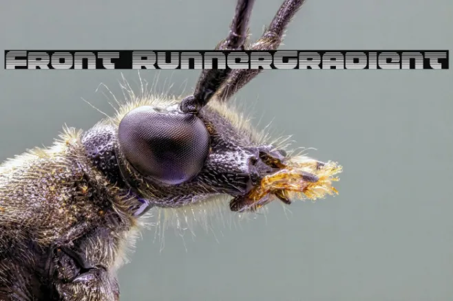 Front RunnerGradient Example 3