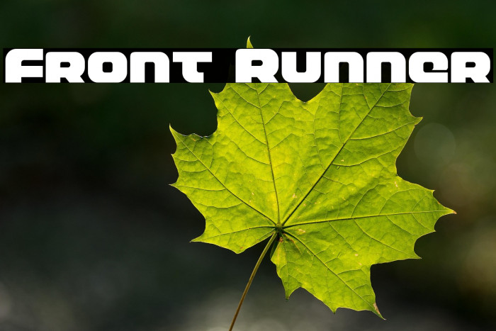 Front Runner Example 1