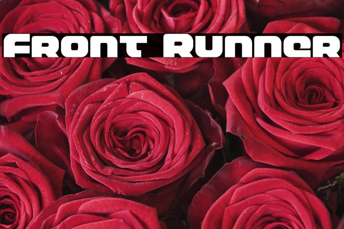 Front Runner Example 3