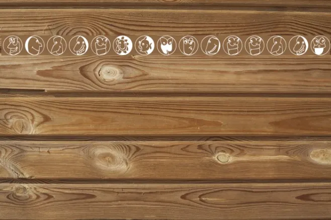 Frontal-Buttons Example 2