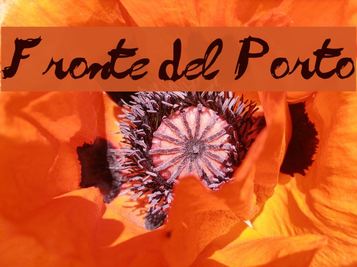 Fronte del Porto Font examples