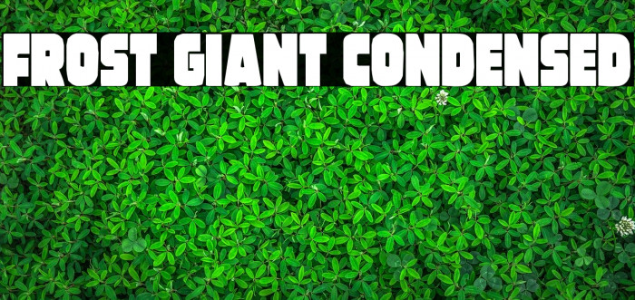 Frost Giant Condensed Example 2