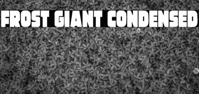 Frost Giant Condensed Font examples