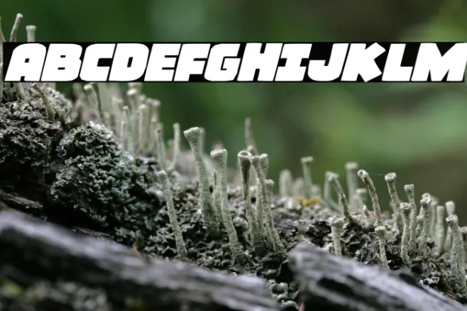 Frost Giant Expanded Italic Example 3