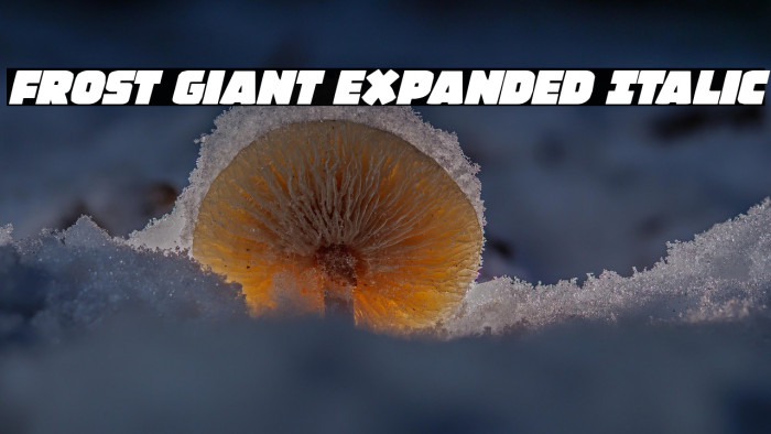 Frost Giant Expanded Italic Example 1