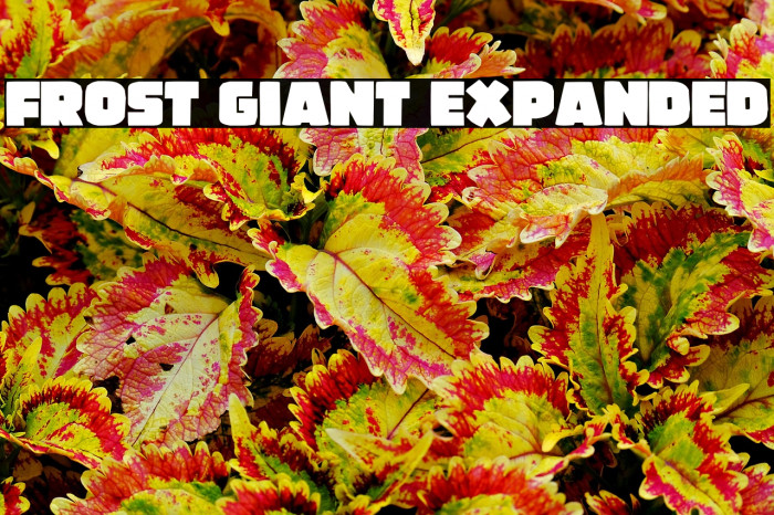 Frost Giant Expanded Example 2