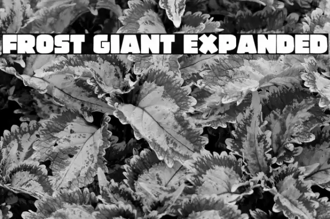 Frost Giant Expanded Font examples