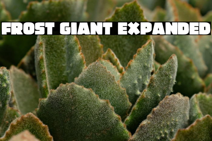 Frost Giant Expanded Example 3