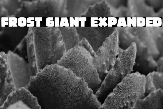 Frost Giant Expanded Font examples
