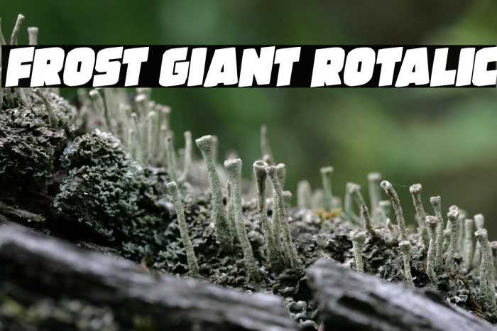 Frost Giant Rotalic Example 1