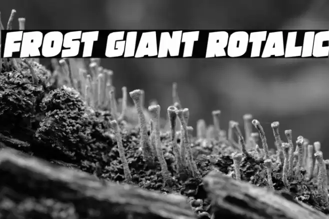Frost Giant Rotalic Font examples