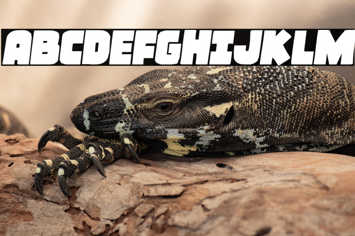 Frost Giant Semi-Italic Example 2