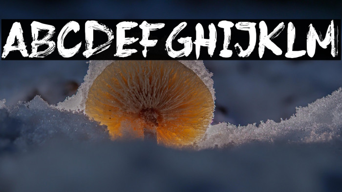 Frost Vector Example 2