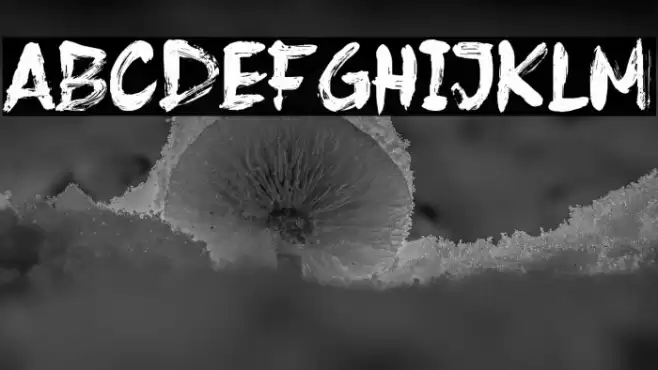 Frost Vector Font examples