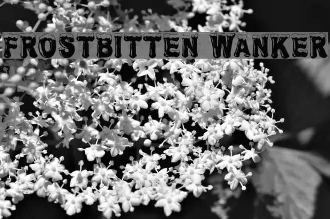 Frostbitten Wanker Polices examples