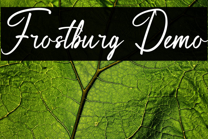 Frostburg Demo Example 2