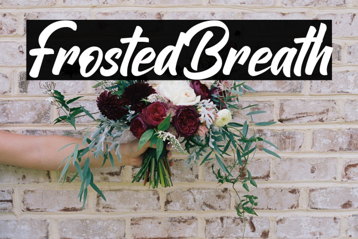 Frosted Breath Example 1