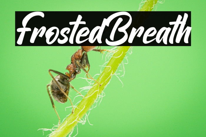 Frosted Breath Example 2