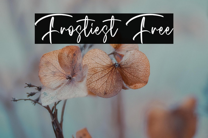 Frostiest Free Example 3