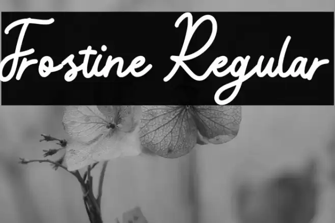 Frostine Regular Font examples