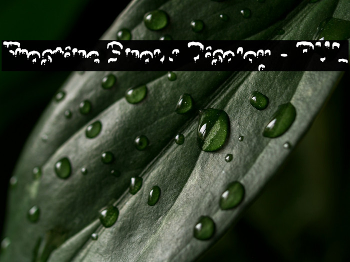 Frostine Snow Display - PUL Example 1