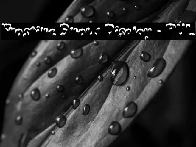 Frostine Snow Display - PUL Polices examples