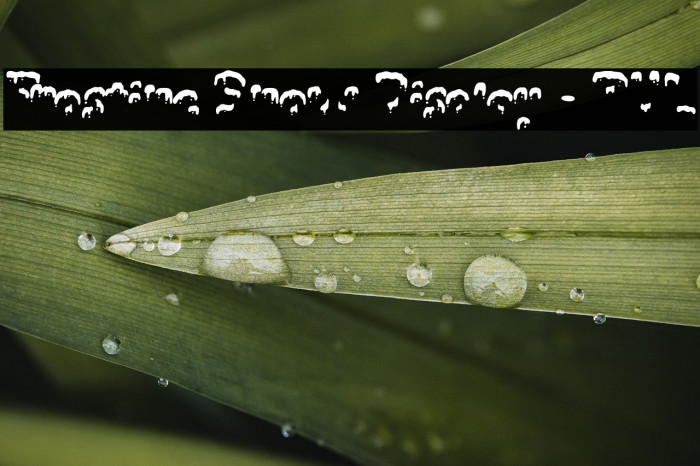 Frostine Snow Display - PUL Example 2