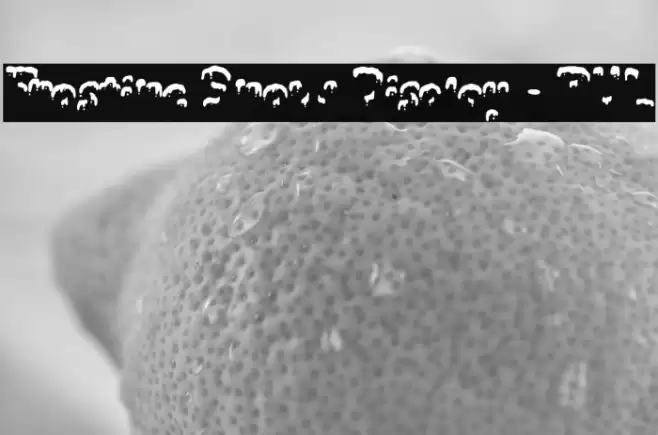 Frostine Snow Display - PUL Polices examples