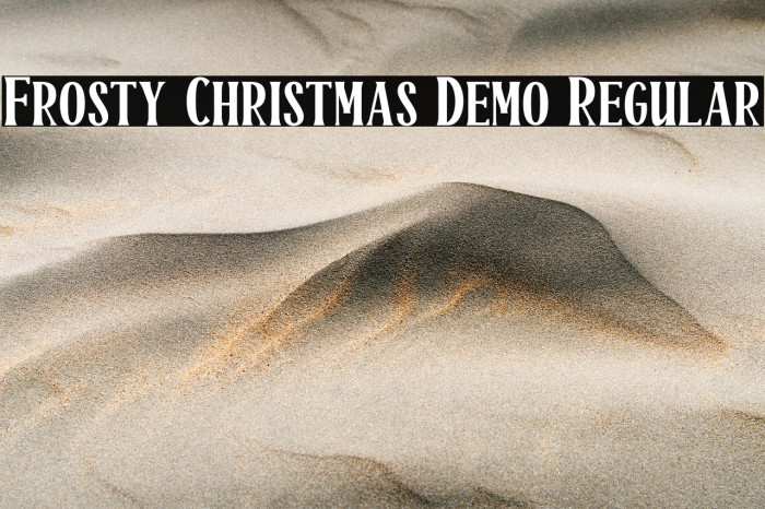 Frosty Christmas Demo Regular Example 1