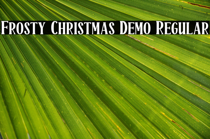 Frosty Christmas Demo Regular Example 2