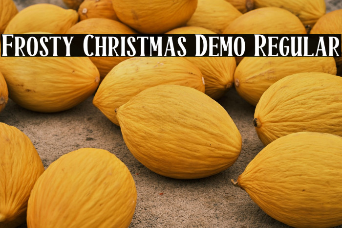 Frosty Christmas Demo Regular Example 3