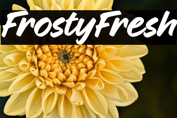 Frosty Fresh Example 3