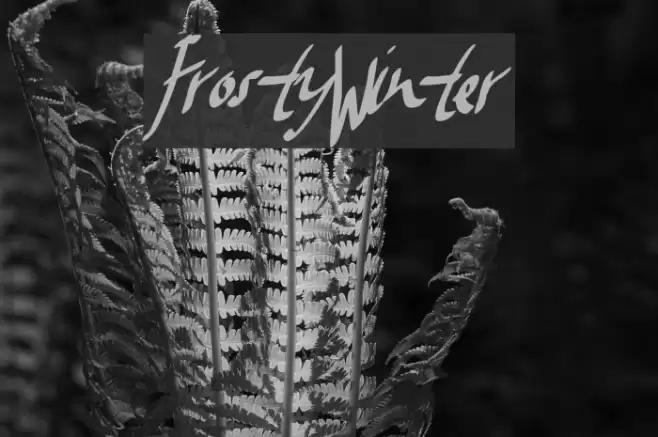 FrostyWinter Font examples