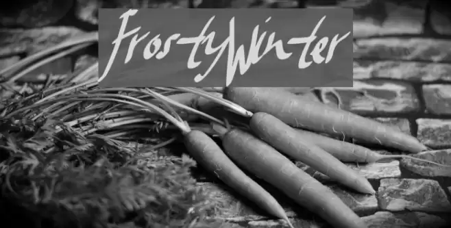 FrostyWinter Font examples