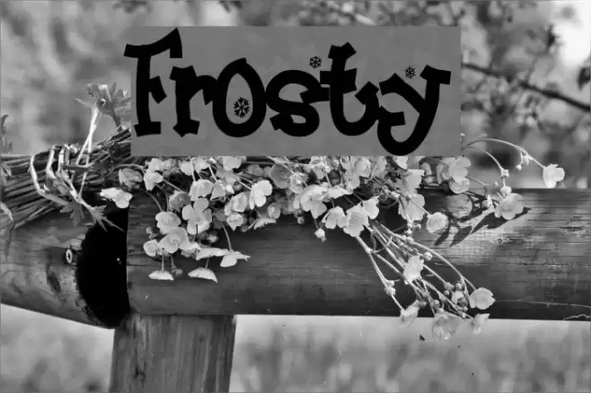 Frosty Font examples