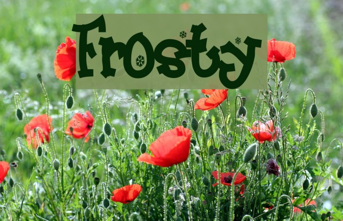 Frosty Font examples