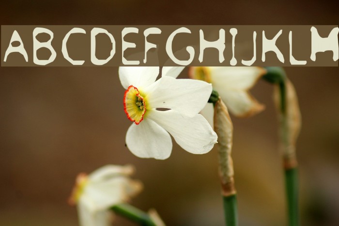 Froufrou Font examples