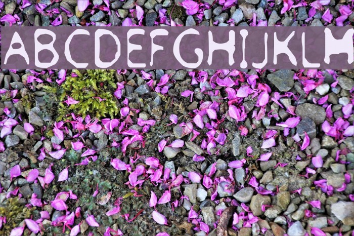 Froufrou Font examples