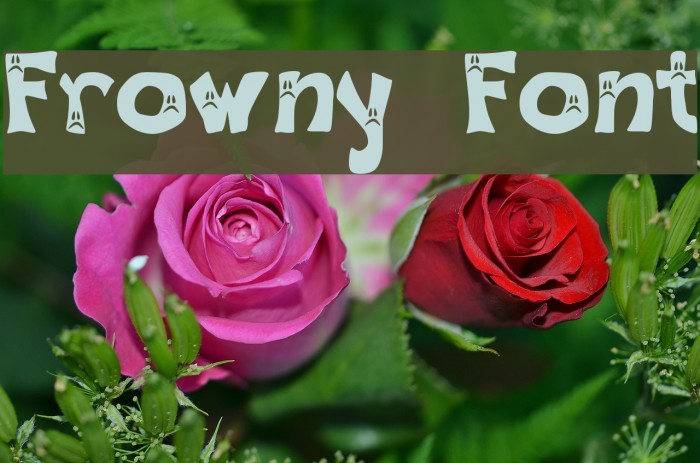 Frowny Font Font examples
