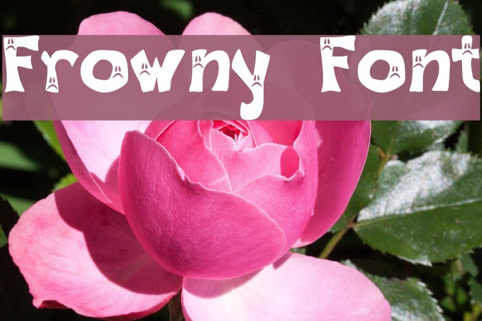 Frowny Font Font examples