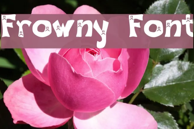 Frowny Font Example 3