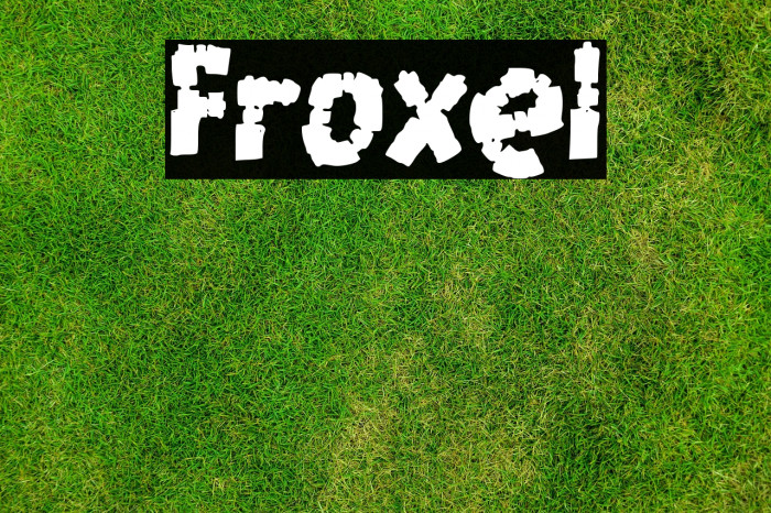 Froxel Example 2