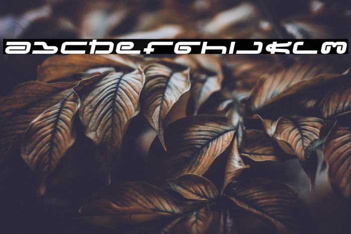 Frozdotre-Regular Example 2