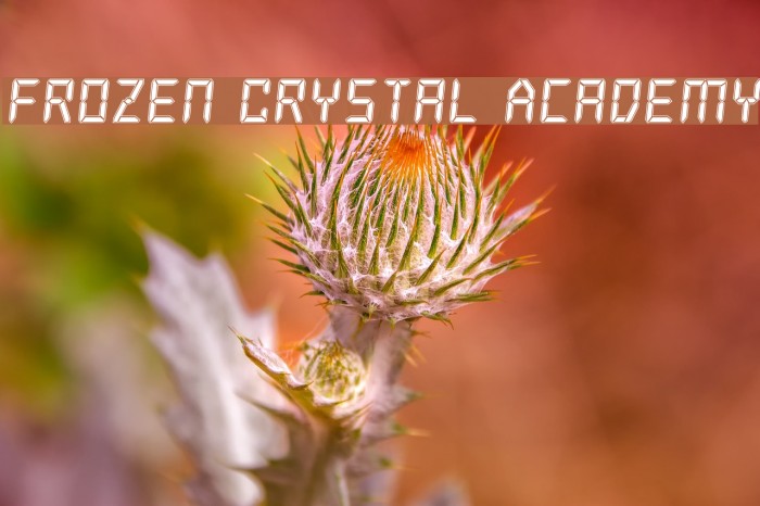 Frozen Crystal Academy Font examples