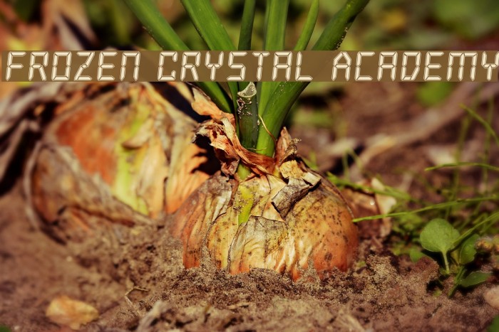Frozen Crystal Academy Font examples
