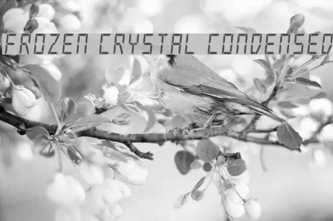 Frozen Crystal Condensed Font examples