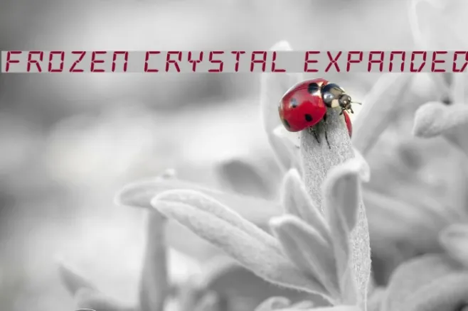 Frozen Crystal Expanded Example 2