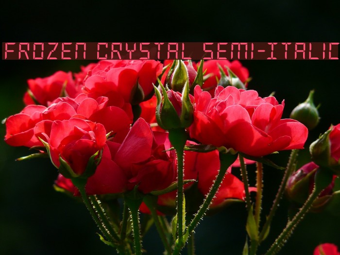 Frozen Crystal Semi-Italic Example 2