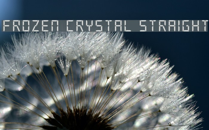 Frozen Crystal Straight Font examples