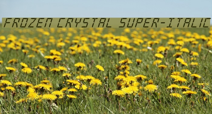 Frozen Crystal Super-Italic Font examples